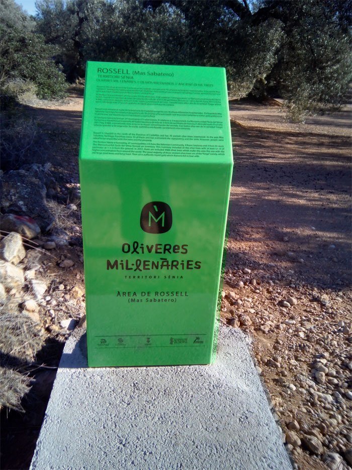 oliveres 3