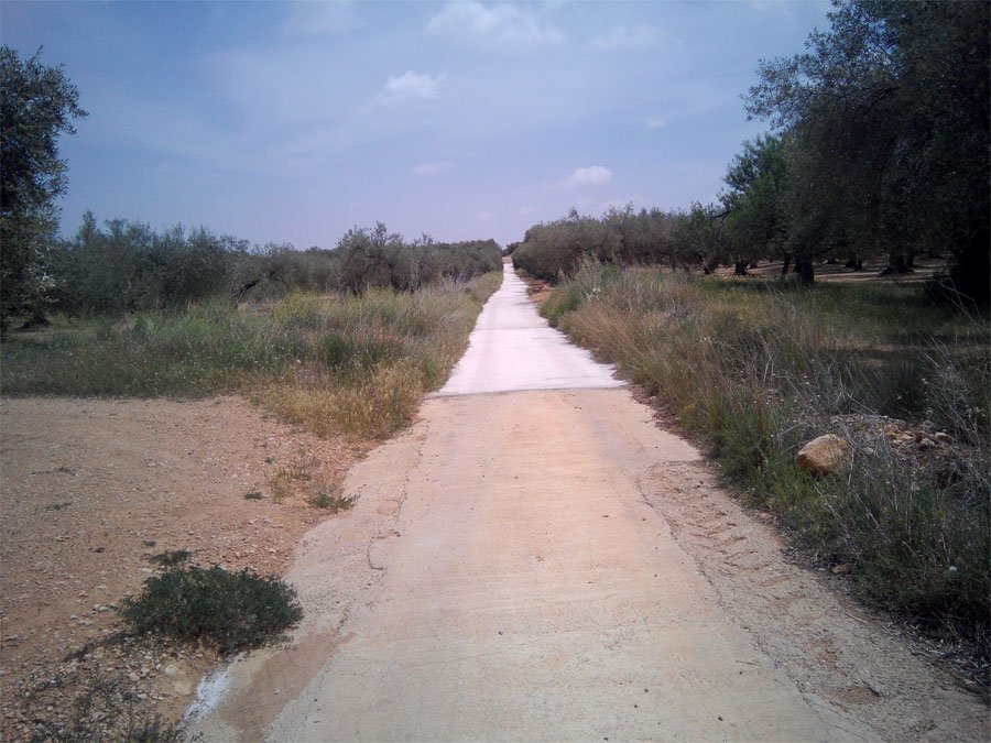 La brigada municipal formigona diversos camins municipals